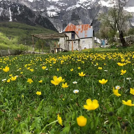 Rrashkadoli בית הארחה *