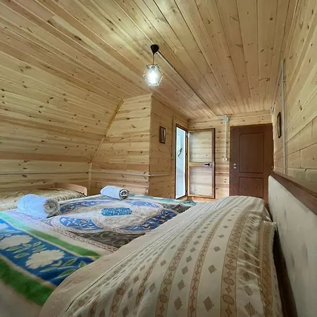 Guest house Rrashkadoli *