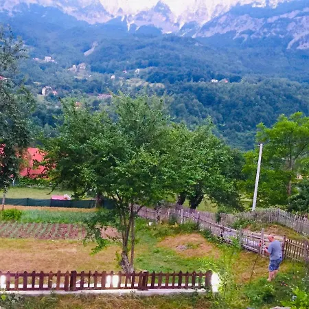 Rrashkadoli Guest house *