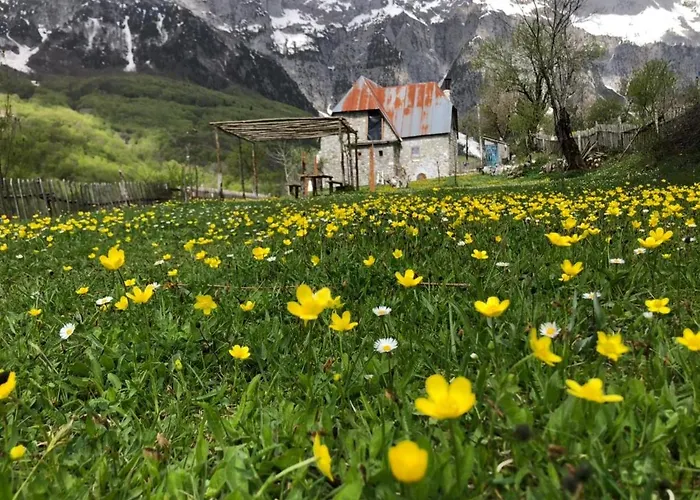 Rrashkadoli Gæstehus *