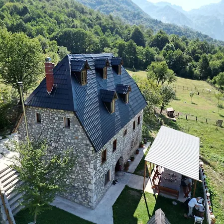 Rrashkadoli * テス